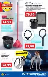 Gazetka promocyjna Lidl - GAZETKA - Gazetka - ważna od 24.10 do 24.10.2021 - strona 12 - produkty: Mop, Narożnik, Wiadro