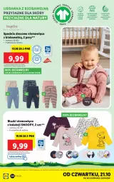 Gazetka promocyjna Lidl - GAZETKA - Gazetka - ważna od 24.10 do 24.10.2021 - strona 28 - produkty: Dres, Fa