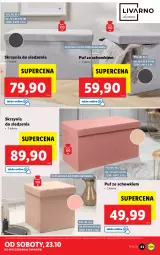 Gazetka promocyjna Lidl - GAZETKA - Gazetka - ważna od 24.10 do 24.10.2021 - strona 43 - produkty: Puf