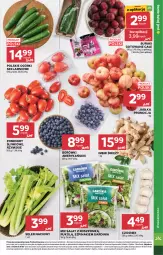 Gazetka promocyjna Stokrotka - Market - Gazetka - ważna od 04.02 do 04.02.2026 - strona 7 - produkty: Warzywa, Czosnek, Siatka, Sałat, Optima, Buraki, Owoce, Seler naciowy, Pomidory, Mięso, Jabłka, Szpinak, Imbir