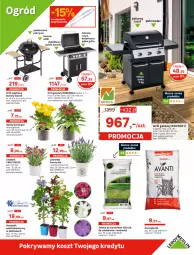 Gazetka promocyjna Leroy Merlin - Gazetka Leroy Merlin - Gazetka - ważna od 12.07 do 12.07.2022 - strona 17 - produkty: Klamka, Sok, Ser, Por, Kosz, Malibu, Półka, Wózek, Pokrowiec, Grill, Drzwi, Ogród, Grill gazowy, Pokrywa, LG