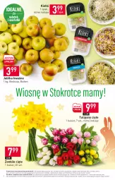 Gazetka promocyjna Stokrotka - Supermarket - Gazetka - ważna od 12.04 do 12.04.2023 - strona 2 - produkty: Warzywa, Tulipan, Kiełki, Bukiet, Owoce, Mięso, Jabłka