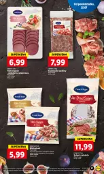 Gazetka promocyjna Lidl - GAZETKA - Gazetka - ważna od 27.07 do 27.07.2022 - strona 21 - produkty: Polędwica, Salami, Fa