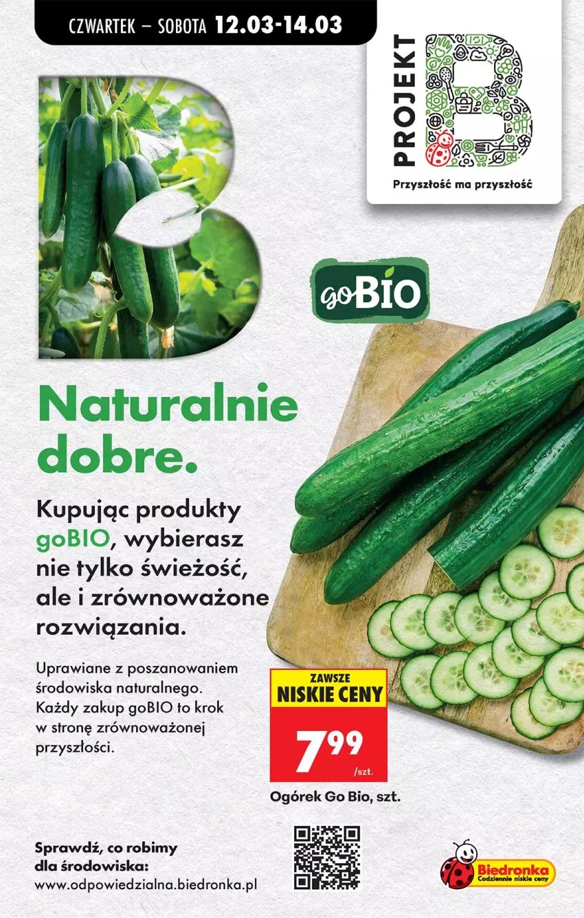 Gazetka promocyjna Biedronka - Od Czwartku - ważna 12.03 do 18.03.2026 - strona 33 - produkty: Ogórek