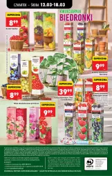 Gazetka promocyjna Biedronka - Od Czwartku - Gazetka - ważna od 18.03 do 18.03.2026 - strona 79 - produkty: Por, Gra, Telefon, Papier, Róża, Kosz, Napoje, Tera, Wazon, Maliny, Fa