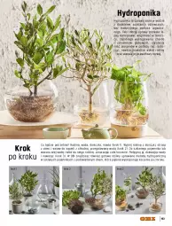 Gazetka promocyjna Obi - Ogród, Balkon, Taras - Gazetka - ważna od 31.08 do 31.08.2021 - strona 103 - produkty: Puf, Gra, Stolik, Pojemnik, Wazon, Lack, Be Be, Woda, Nawóz, Dywan, Osłonka, LG