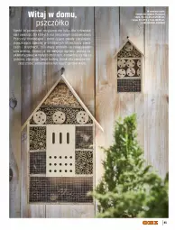 Gazetka promocyjna Obi - Ogród, Balkon, Taras - Gazetka - ważna od 31.08 do 31.08.2021 - strona 85 - produkty: Por, BIC, Konewka, O nas, Ogród, Mięta, Nektar, LG