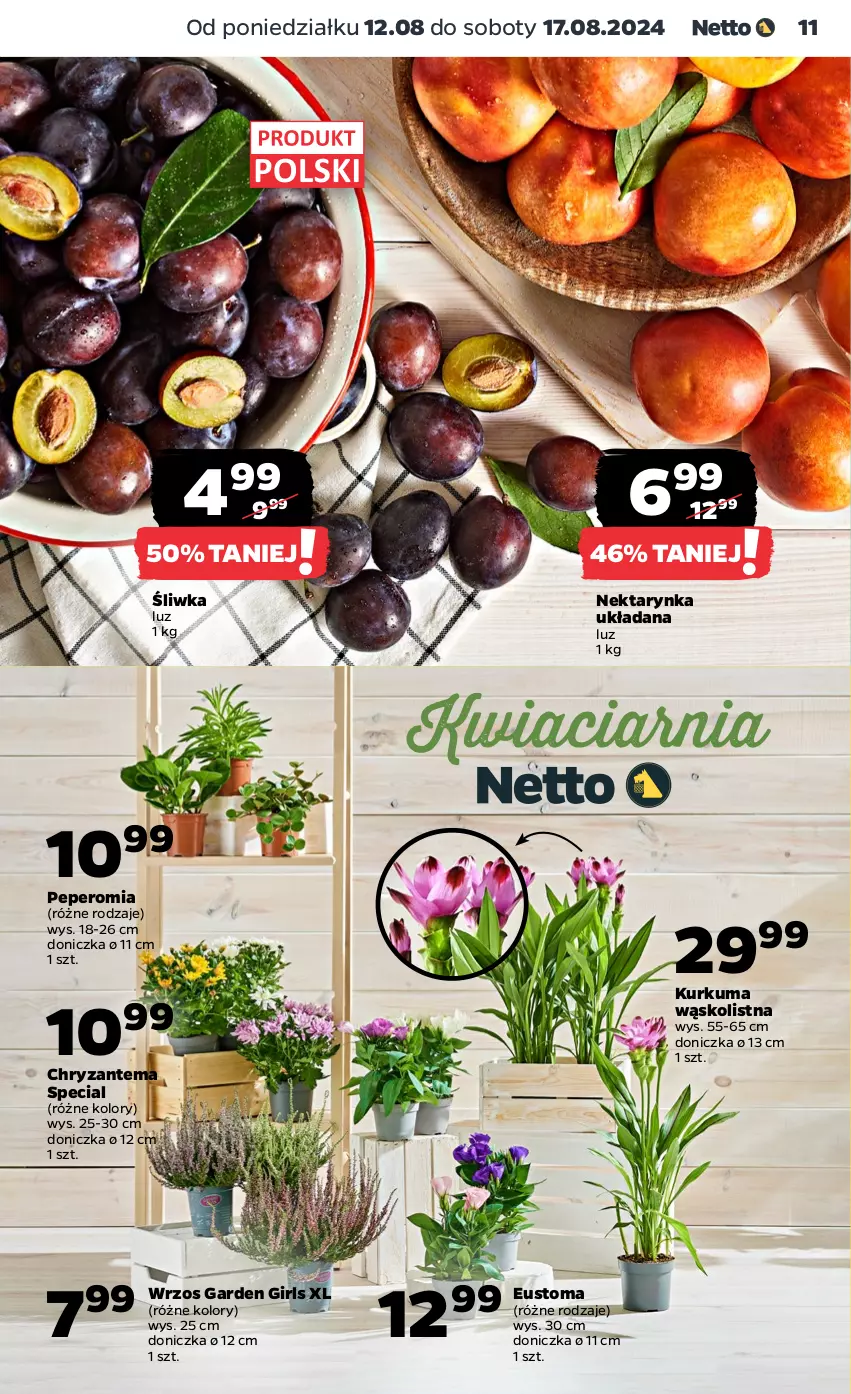 Gazetka promocyjna Netto - Od Poniedziałku - ważna 12.08 do 17.08.2024 - strona 11 - produkty: Chryzantema, Kurkuma, Nektar, Nektarynka