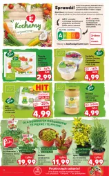 Gazetka promocyjna Kaufland - OFERTA TYGODNIA - Gazetka - ważna od 01.06 do 01.06.2021 - strona 14 - produkty: Piec, Warzywa, Top, Sól, Surówka, Twaróg, Jaja, Twaróg półtłusty, Owoce