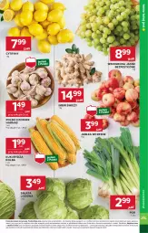 Gazetka promocyjna Stokrotka - Supermarket - Gazetka - ważna od 24.09 do 24.09.2025 - strona 11 - produkty: Warzywa, Por, Sałata lodowa, Czosnek, Cytryny, Sałat, Winogrona, Owoce, Wino, Harnaś, Mięso, Kukurydza, Jabłka, Imbir