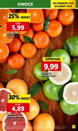 Gazetka promocyjna Lidl - GAZETKA - Gazetka - ważna od 19.10 do 19.10.2024 - strona 27 - produkty: Mandarynki, Owoce, Grejpfrut