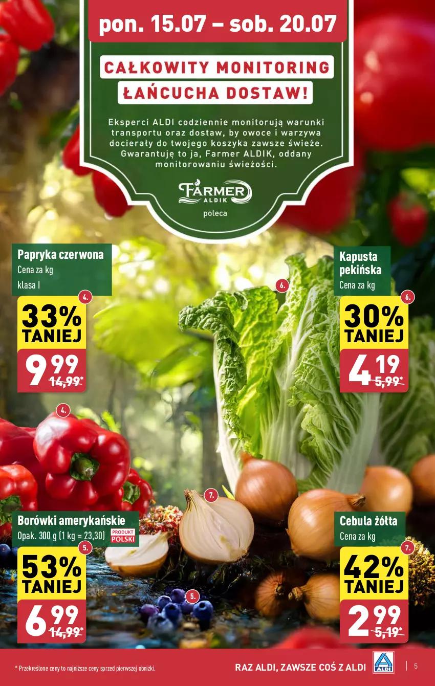 Gazetka promocyjna Aldi - Farmer ALDIK poleca świeże owoce i warzywa - ważna 15.07 do 20.07.2024 - strona 5 - produkty: Cebula, Papryka, Papryka czerwona