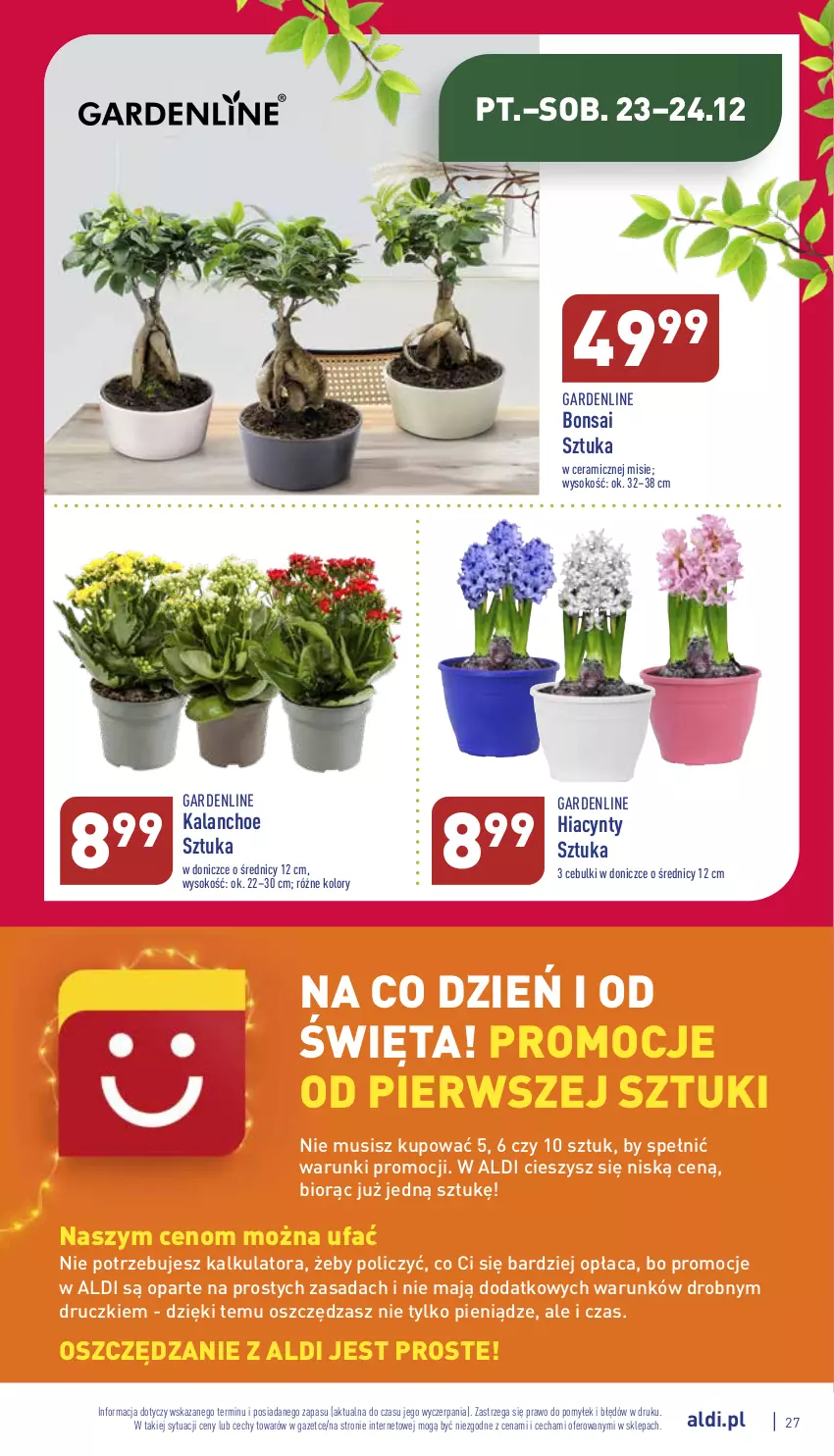 Gazetka promocyjna Aldi - Pełny katalog - ważna 19.12 do 24.12.2022 - strona 27 - produkty: Fa, Hiacynt, Kalanchoe, Mus, Sok