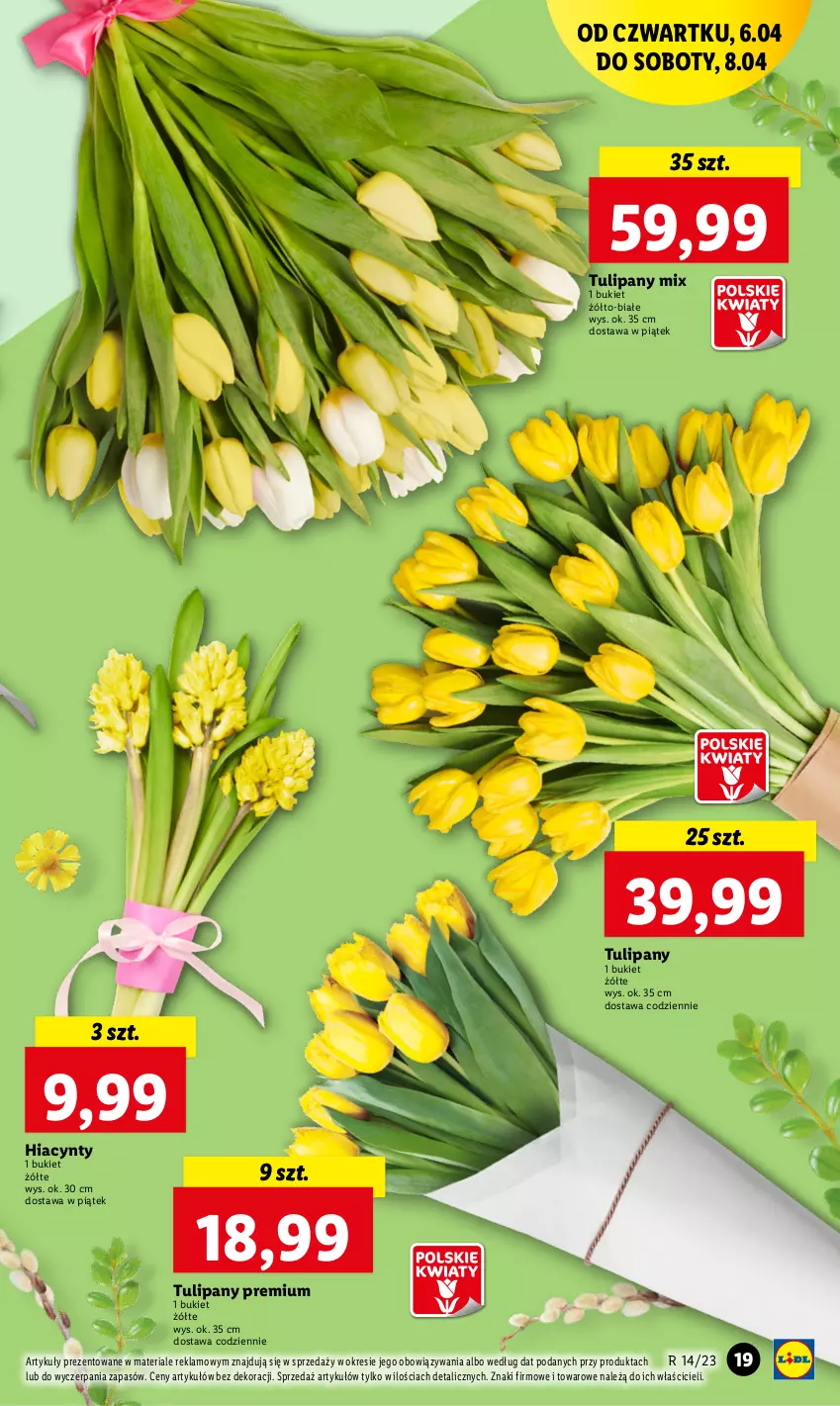 Gazetka promocyjna Lidl - GAZETKA - ważna 06.04 do 08.04.2023 - strona 19 - produkty: Bukiet, Hiacynt, Tulipan