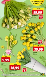 Gazetka promocyjna Lidl - GAZETKA - Gazetka - ważna od 08.04 do 08.04.2023 - strona 19 - produkty: Hiacynt, Tulipan, Bukiet