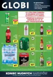 Gazetka promocyjna Carrefour - Gazetka Globi - Gazetka - ważna od 30.05 do 30.05.2022 - strona 2 - produkty: Piwa, Piwo, Gin, Gra, Kasztelan, Kosz, Coca-Cola, Warka, Lion, Napój gazowany, Woda mineralna, Woda, Napój, Lech Premium