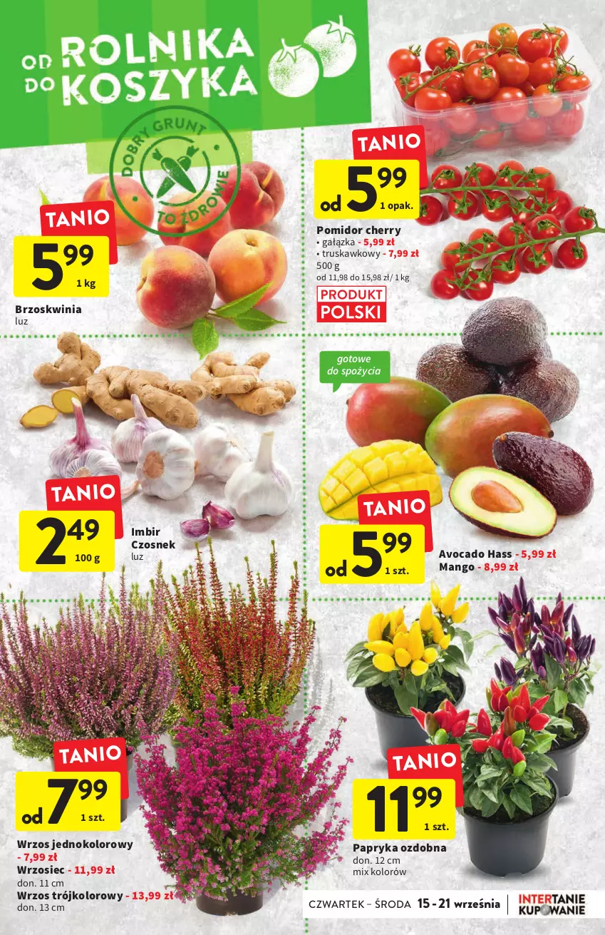 Gazetka promocyjna Intermarche - Gazetka Intermarche - ważna 15.09 do 21.09.2022 - strona 12 - produkty: Avocado, Czosnek, Imbir, Mango, Papryka