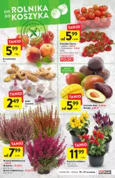 Gazetka promocyjna Intermarche - Gazetka Intermarche - Gazetka - ważna od 21.09 do 21.09.2022 - strona 12 - produkty: Papryka, Czosnek, Avocado, Mango, Imbir
