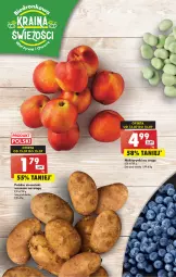 Gazetka promocyjna Biedronka - Od czwartku - Gazetka - ważna od 19.07 do 19.07.2023 - strona 16 - produkty: Ziemniaki, Nektar