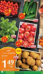 Gazetka promocyjna Delikatesy Centrum - Gazetka - ważna od 23.08 do 23.08.2023 - strona 4 - produkty: Bazyl, Bazylia, Mięta, K2