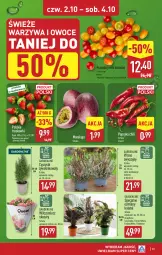 Gazetka promocyjna Aldi - Pełna oferta - Gazetka - ważna od 04.10 do 04.10.2025 - strona 33 - produkty: Warzywa, Sok, Cyprysik, Papryka, Truskawki, Warzywa i owoce, Fusion, Owoce, Pomidory