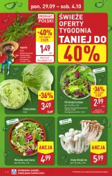 Gazetka promocyjna Aldi - Pełna oferta - Gazetka - ważna od 04.10 do 04.10.2025 - strona 4 - produkty: Sałata lodowa, Grzyby, Sałat, Koperek pęczek, Mieszanka sałat