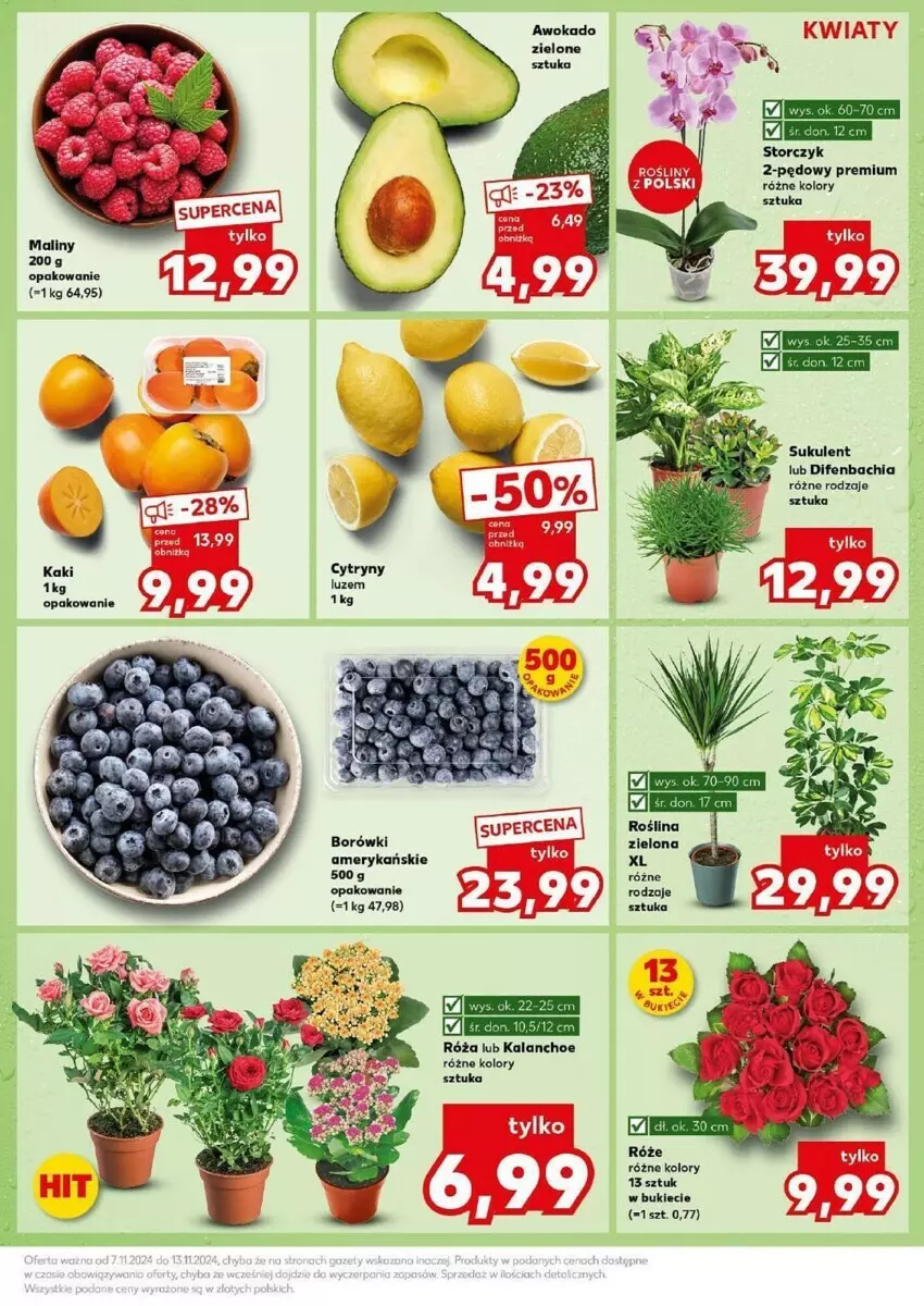 Gazetka promocyjna Kaufland - ważna 12.11 do 13.11.2024 - strona 26 - produkty: Chia, Fa, Kalanchoe, NBA, Róża, Sukulent