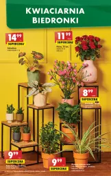 Gazetka promocyjna Biedronka - W tym tygodniu - Gazetka - ważna od 08.10 do 08.10.2022 - strona 16 - produkty: BIC, Wazon, 