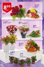 Gazetka promocyjna Auchan - przeNISKIE CENY na przebojowe marki Hipermarkety - Gazetka - ważna od 16.02 do 16.02.2022 - strona 12 - produkty: Tulipan, Kalanchoe, Bukiet