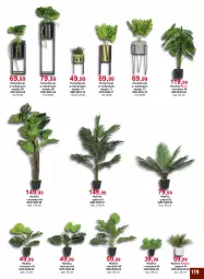 Gazetka promocyjna Bodzio - Gazetka - ważna od 30.06 do 30.06.2022 - strona 119 - produkty: Bell, Stojak, Tera, Palma, Roślina sztuczna, Fa