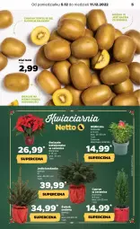 Gazetka promocyjna Netto - Artykuły spożywcze - Gazetka - ważna od 11.12 do 11.12.2022 - strona 5 - produkty: Por, Kask, Kiwi, Gwiazda