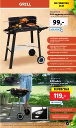 Gazetka promocyjna Lidl - GAZETKA - Gazetka - ważna od 25.05 do 25.05.2024 - strona 29 - produkty: Top, Por, Palenisko, Pojemnik, Półka, Grill