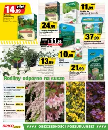 Gazetka promocyjna Bricomarche - Gazetka - Gazetka - ważna od 20.04 do 20.04.2024 - strona 12 - produkty: Sos, Por, Pur, Gra, Nawóz