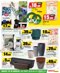 Gazetka promocyjna Bricomarche - Gazetka - Gazetka - ważna od 20.04 do 20.04.2024 - strona 15 - produkty: Gry, Borówka, Tera