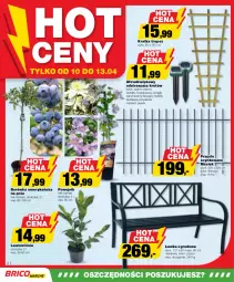 Gazetka promocyjna Bricomarche - Gazetka - Gazetka - ważna od 20.04 do 20.04.2024 - strona 2 - produkty: Borówka, Cynk, Kret, Laur