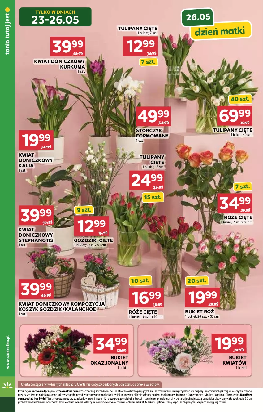 Gazetka promocyjna Stokrotka - Supermarket - ważna 21.05 do 27.05.2026 - strona 16 - produkty: Bukiet, Kalanchoe, Kosz, Kurkuma, Mięso, Optima, Owoce, Storczyk, Tulipan, Warzywa, Wazon