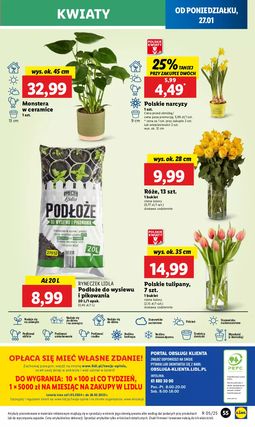 Gazetka promocyjna Lidl - GAZETKA - ważna 27.01 do 29.01.2025 - strona 61 - produkty: Bukiet, Cień, Gra, Mola, Narcyz, O nas, Por, Sok, Tera, Tulipan