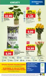 Gazetka promocyjna Lidl - GAZETKA - Gazetka - ważna od 29.01 do 29.01.2025 - strona 61 - produkty: Sok, Por, Gra, Tulipan, Cień, O nas, Tera, Mola, Bukiet, Narcyz
