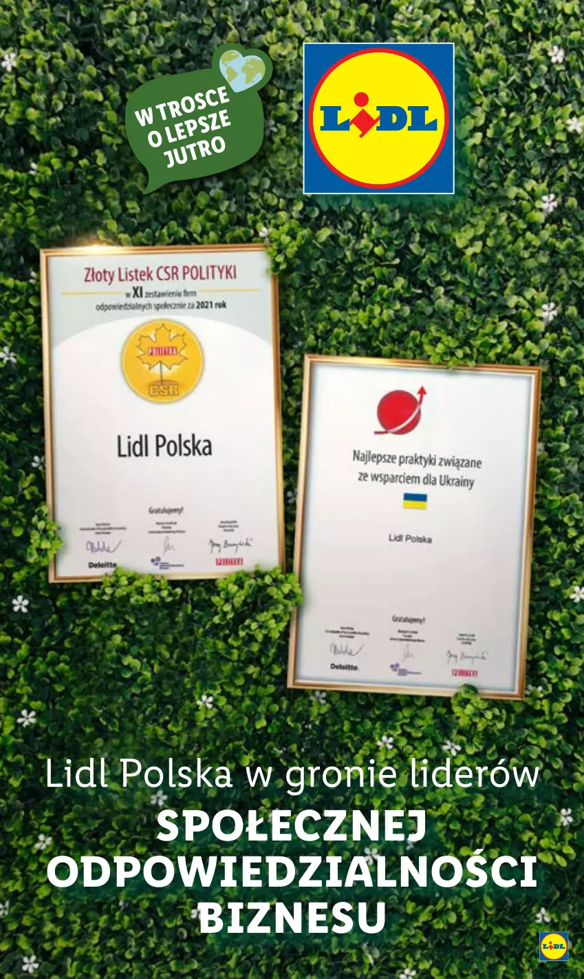 Gazetka promocyjna Lidl - GAZETKA - ważna 25.07 do 30.07.2022 - strona 61