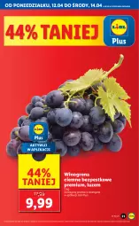 Gazetka promocyjna Lidl - GAZETKA - Gazetka - ważna od 14.04 do 14.04.2021 - strona 23 - produkty: Winogrona, Wino