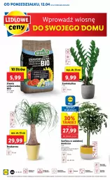 Gazetka promocyjna Lidl - GAZETKA - Gazetka - ważna od 14.04 do 14.04.2021 - strona 46 - produkty: Sok, Cień, O nas