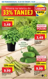 Gazetka promocyjna Lidl - GAZETKA - Gazetka - ważna od 14.04 do 14.04.2021 - strona 7 - produkty: Sałat, Talerz, Bazyl, Bazylia, Grunt