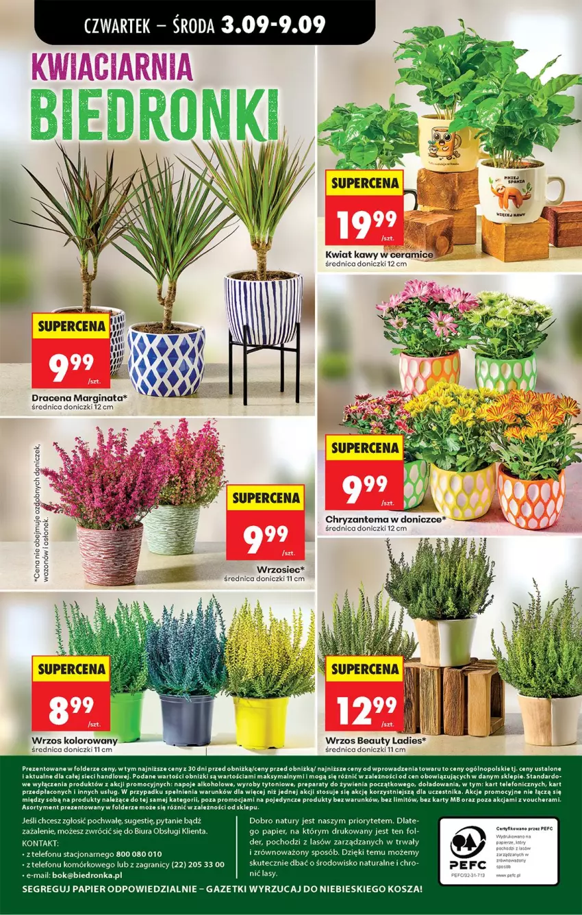 Gazetka promocyjna Biedronka - Od Czwartku - ważna 03.09 do 05.09.2026 - strona 75 - produkty: Chryzantema, Gin, Gra, Kosz, Napoje, Papier, Telefon, Wazon