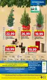 Gazetka promocyjna Lidl - GAZETKA - Gazetka - ważna od 13.12 do 13.12.2023 - strona 69 - produkty: Sok, Por, Gry, Cień, O nas, Wazon, Mola, Renifer