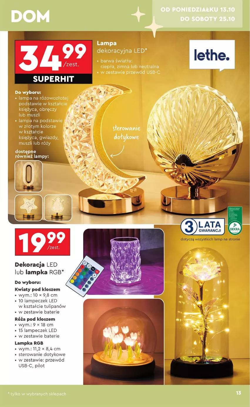 Gazetka promocyjna Biedronka - Okazje Tygodnia - ważna 13.10 do 25.10.2025 - strona 13 - produkty: Dekoracja LED, Przewód, Róża, Tulipan