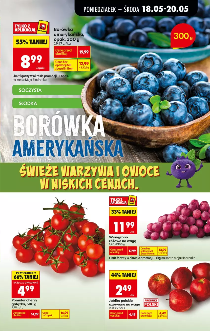 Gazetka promocyjna Biedronka - Od Poniedziałku - ważna 18.05 do 23.05.2026 - strona 27 - produkty: Borówka, Wino