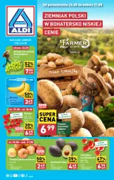 Gazetka promocyjna Aldi - Farmer ALDIK poleca świeże owoce i warzywa - Gazetka - ważna od 31.08 do 31.08.2024 - strona 1 - produkty: Banany, Ziemniaki, Maliny, Winogrona, Wino, Pomidory, Jabłka