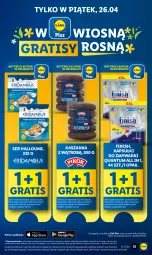 Gazetka promocyjna Lidl - GAZETKA - Gazetka - ważna od 28.04 do 28.04.2024 - strona 15 - produkty: Ser, Gra, Finish, Kaszanka, Zmywarki, Kasza, Olej