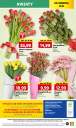 Gazetka promocyjna Lidl - GAZETKA - Gazetka - ważna od 28.04 do 28.04.2024 - strona 59 - produkty: Gra, Gerber, Tulipan, Dres, Mola, Bukiet