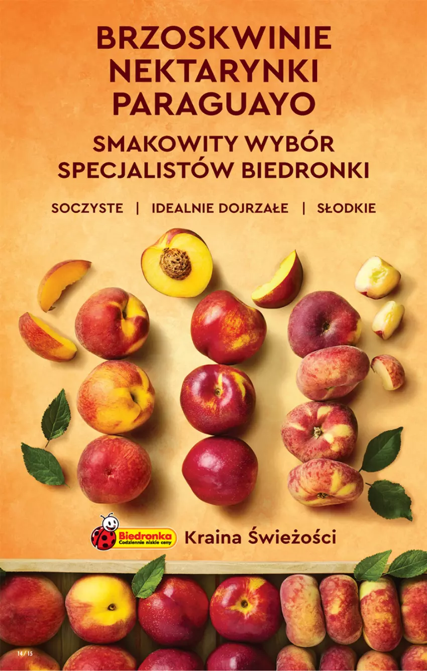 Gazetka promocyjna Biedronka - ważna 07.07 do 13.07.2022 - strona 14 - produkty: Brzoskwinie, Nektar